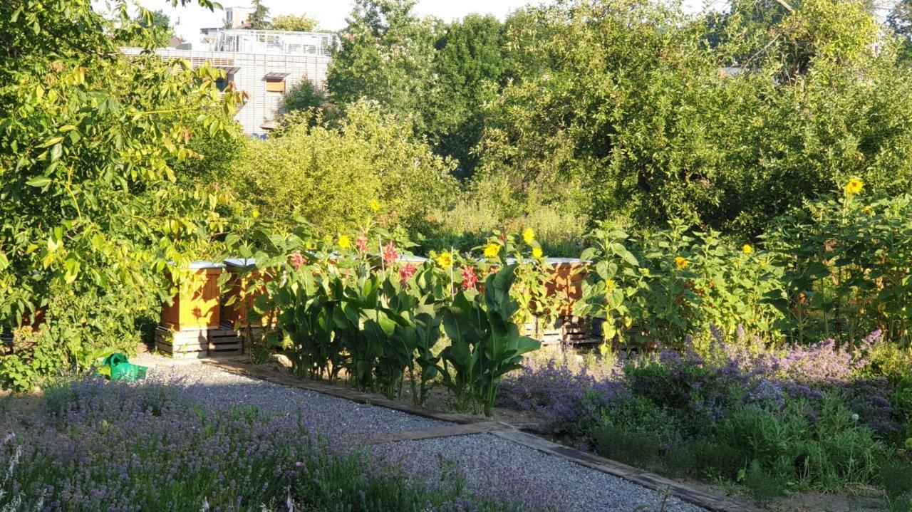 Agroturystyka U Joli Pacanow ภายนอก รูปภาพ