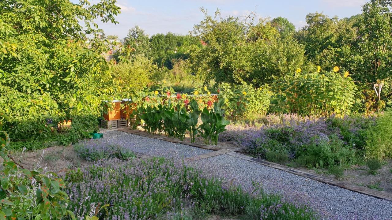 Agroturystyka U Joli Pacanow ภายนอก รูปภาพ